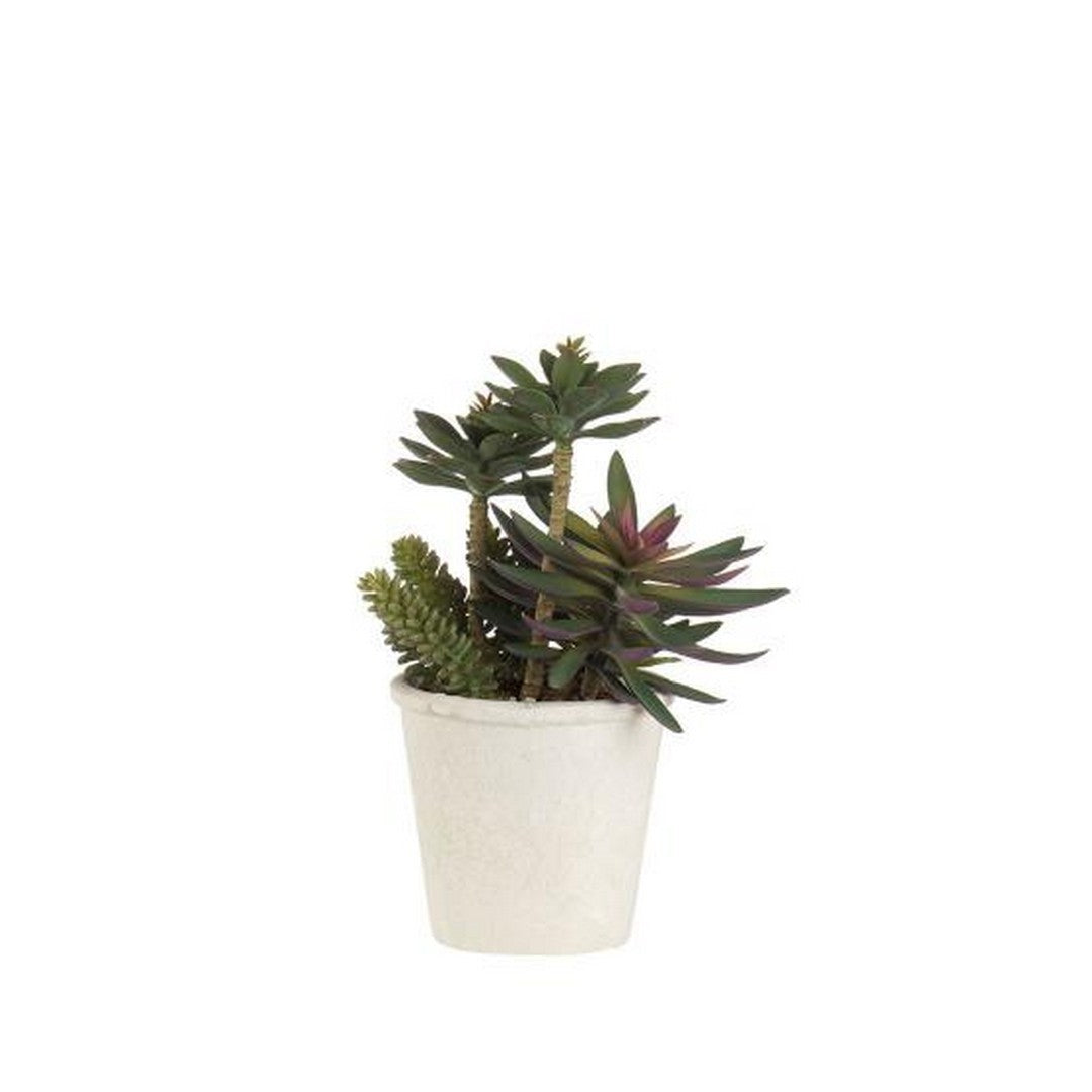 L'Oca Nera Cactus - 1N14 - Stilato